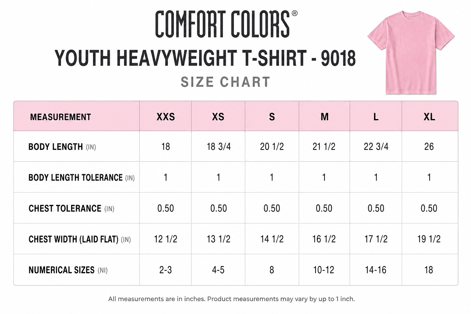 Chapman’s “Sticks Are Unbelievable” Comfort Colors® T-Shirt Youth – Chalky Mint