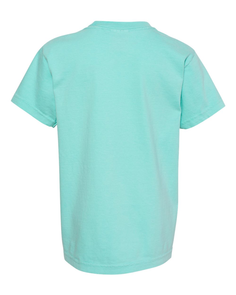 Chapman’s “Sticks Are Unbelievable” Comfort Colors® T-Shirt Youth – Chalky Mint
