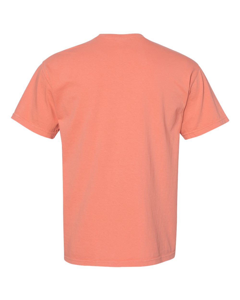 Chapman’s “Sticks Are Unbelievable” Comfort Colors® T-Shirt – Terracotta